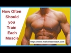 How Often Should you Train Each Muscle?