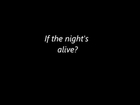 BFH The White panda Midnight Life Gameplay Royal Soldier · Midnight And I - White Rabbits (Lyrics)