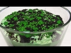 St. Patrick's Day Green Pudding with Michael and Tyler -- Lynn's Recipes