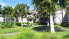 Palm Court Apartments in Hemet, CA - ForRent.com