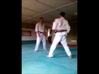 Nihon Tai-Jitsu: defense contre yoko geri par absorption et fauchage
