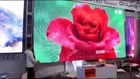 FLEX_led_video_wall_in_PALM_SHOW mail: flexible.led.display.screen@gmail.com