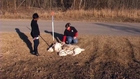 Roadside dog corpses could be evidence of dog fighting ring