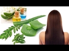Hair Regrowth Home Remedies, Natural Ways To Stop Hair Loss, Best Medicine For Hair Regrowth