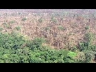 Brazil government confirms increase in Amazon deforestation